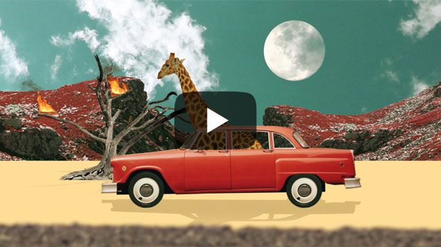 Collage Animation
