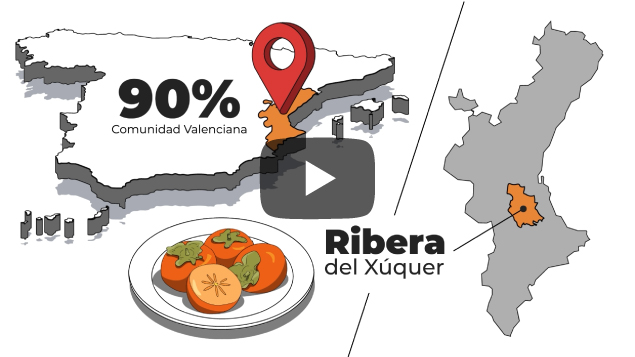 Video scribing de producto